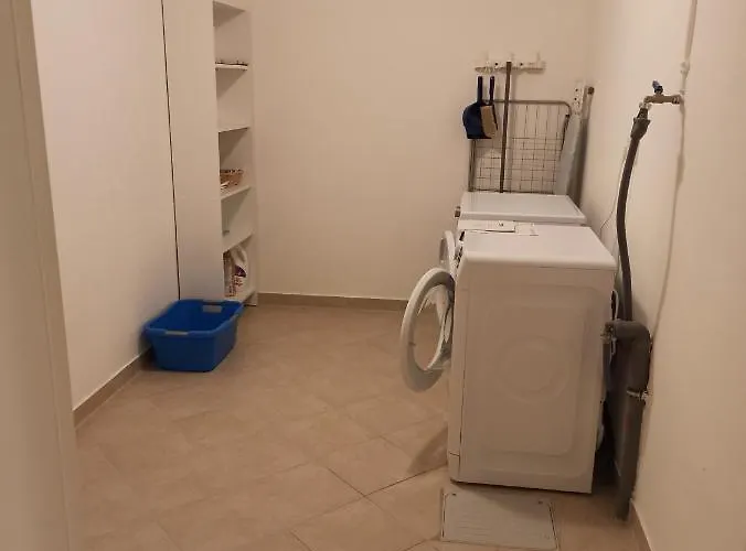 Apartman Schoene 77qm In Gehobener Lage Direkt Am Wald Rodenbach